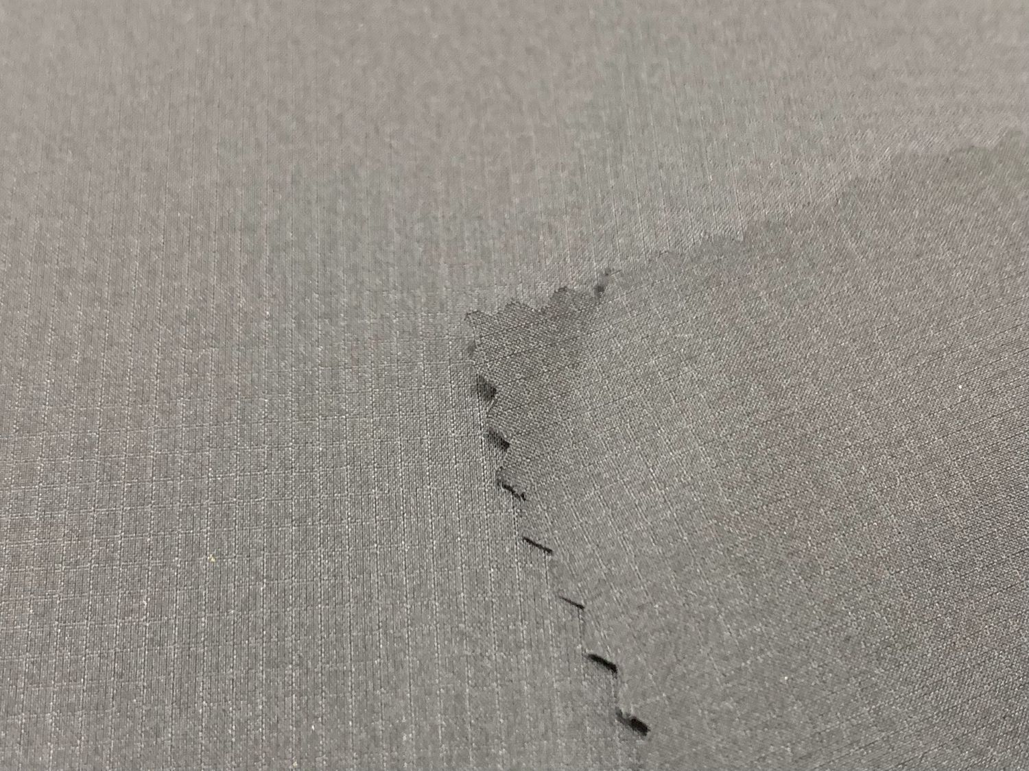 PET Woven Fabric